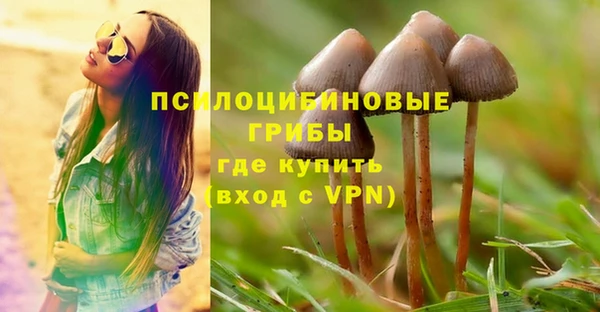 твердый Алзамай